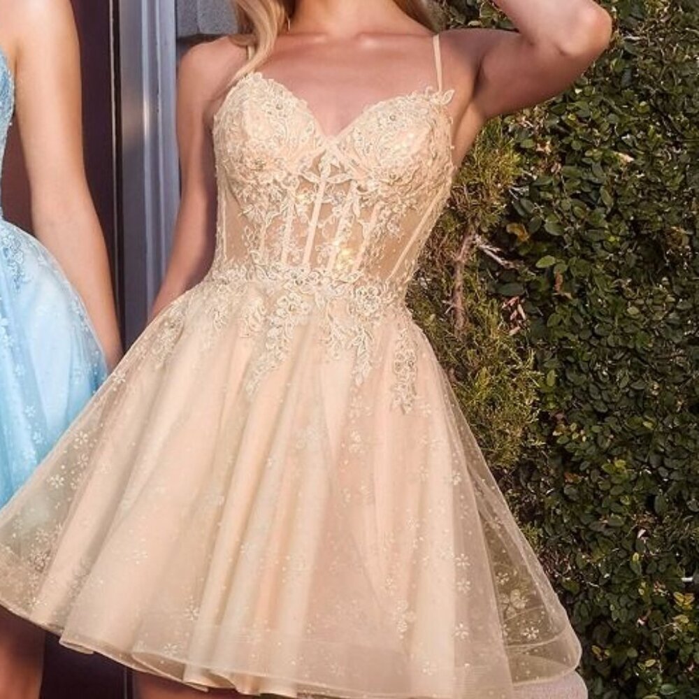 New Short Baby Doll Dress w/ Lace Up Back & Floral Lace Embroidery CD CJ419